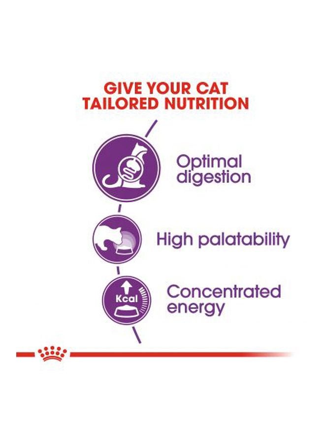 رويال كانين طعام جاف للقطط الحسّاسة 2كيلوجرام - Image 4