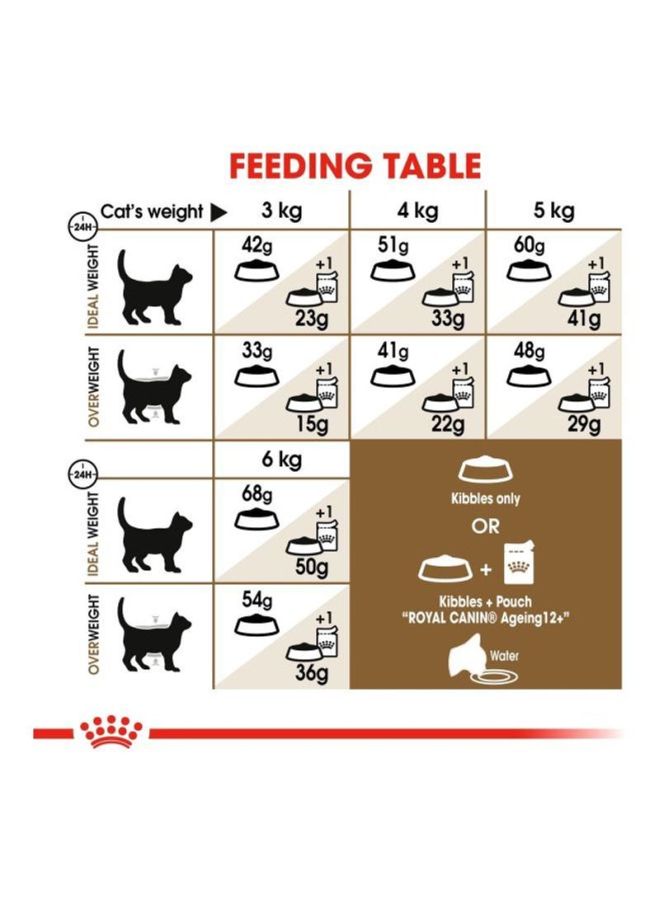 رويال كانين طعام جاف للتغذية الصحية للقطط الكبيرة 2كيلوجرام - Image 2