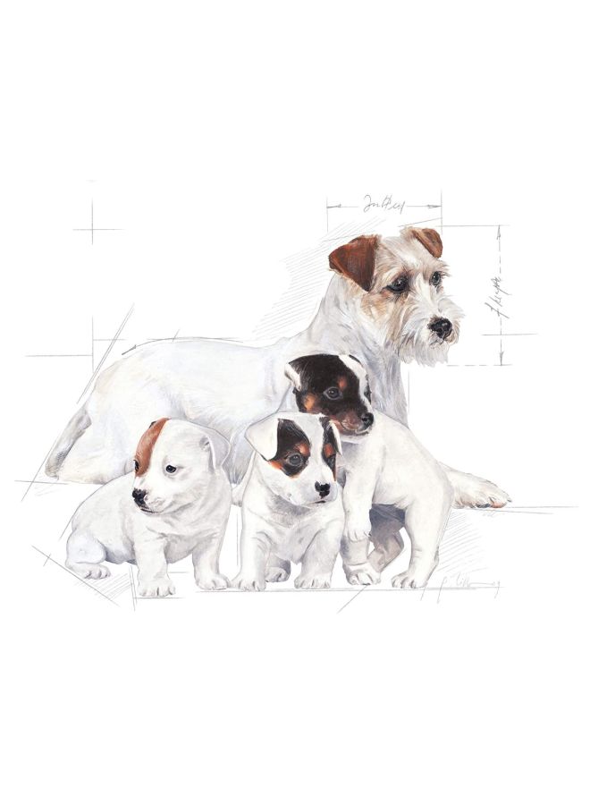 ROYAL CANIN - Baby Dog Milk 400grams - Image 1
