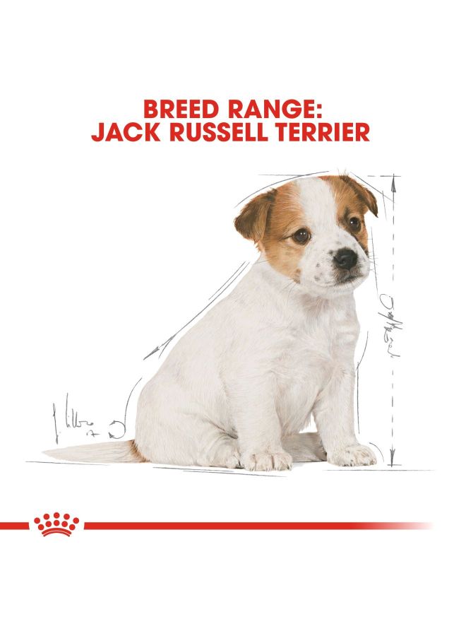 رويال كانين طعام جاف بريد هيلث نيوتريشن لكلاب جاك راسيل ترير 1.5كيلوجرام - Image 2