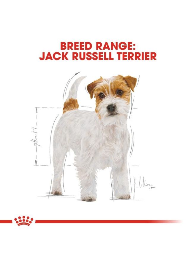 رويال كانين طعام بريد هيلث نيوتريشين جاف لكلاب جاك راسل تيرير الكبيرة 1.5كيلوجرام - Image 2