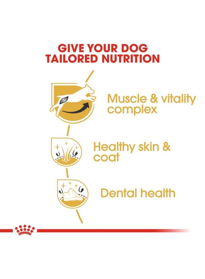 رويال كانين طعام بريد هيلث نيوتريشين جاف لكلاب جاك راسل تيرير الكبيرة 1.5كيلوجرام - Image 5