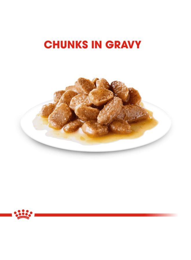 ROYAL CANIN Feline Health Nutrition Hairball Control Wet Food Multicolour 85grams - Image 2