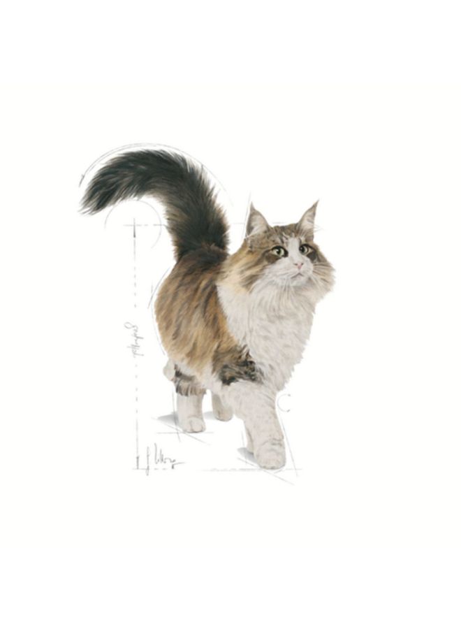 ROYAL CANIN Feline Health Nutrition Hairball Control Wet Food Multicolour 85grams - Image 3