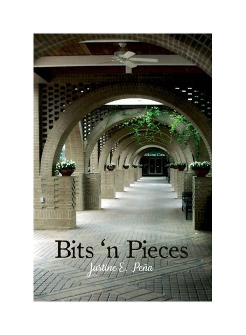 Bits 'n Pieces paperback english