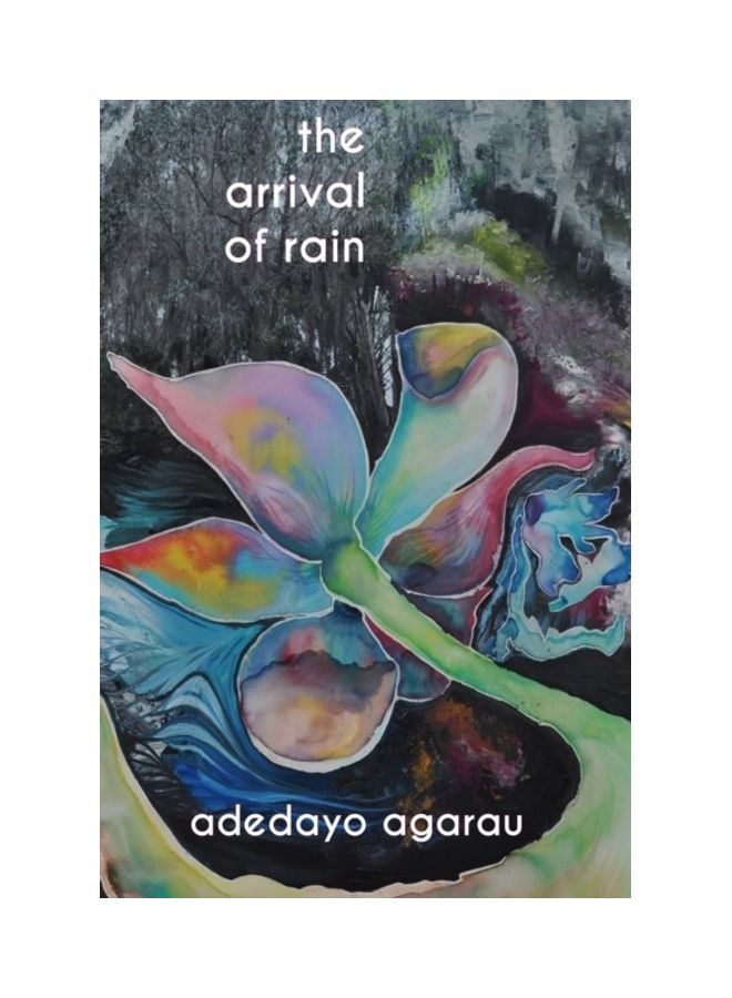 The Arrival Of Rain paperback english