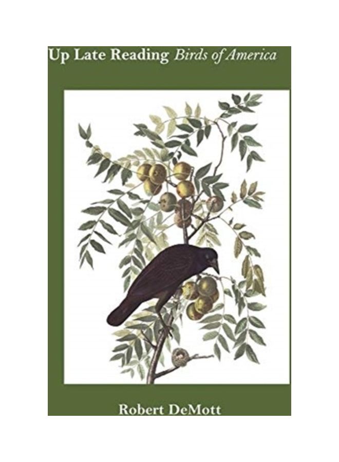 Up Late Reading Birds Of America hardcover english 
