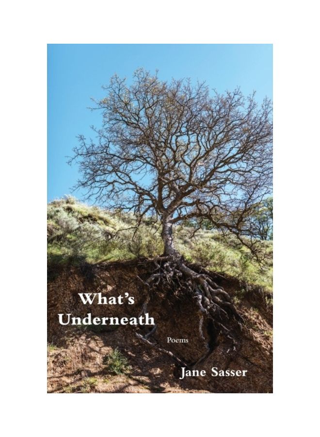What's Underneath paperback english