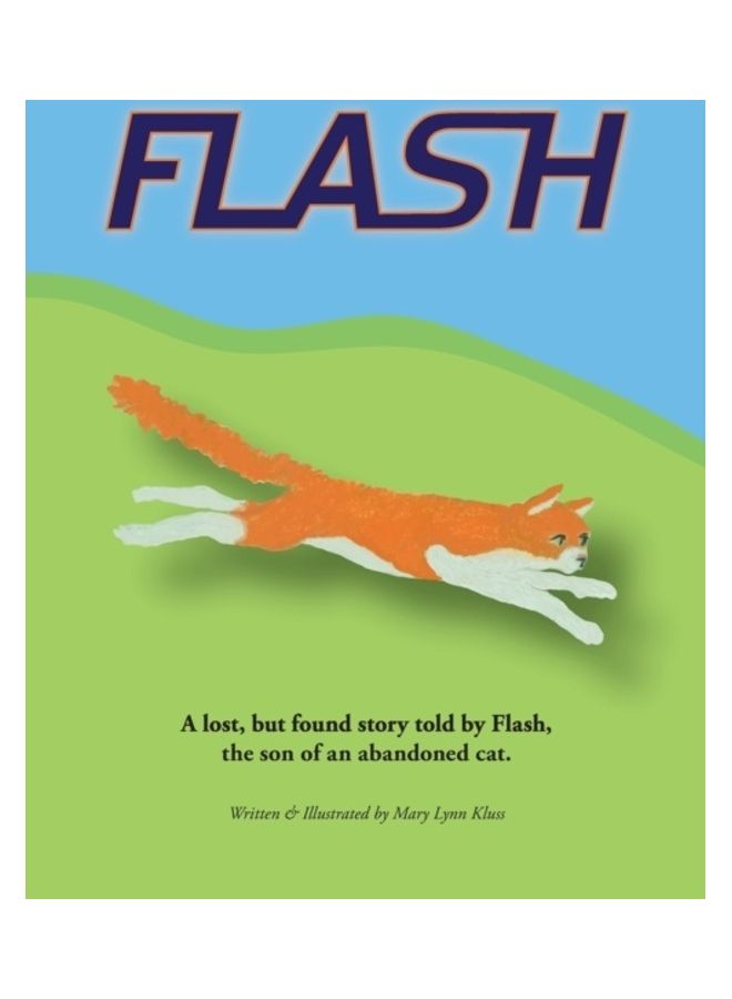 فلاش paperback english