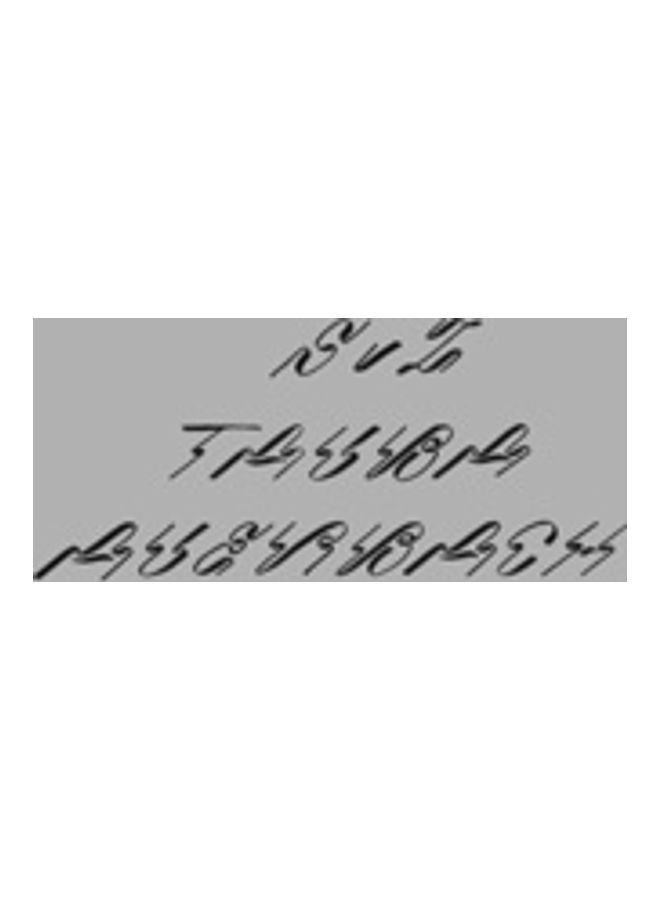 Tauba Auerbach -- S V Z Hardcover English by Tauba Auerbach