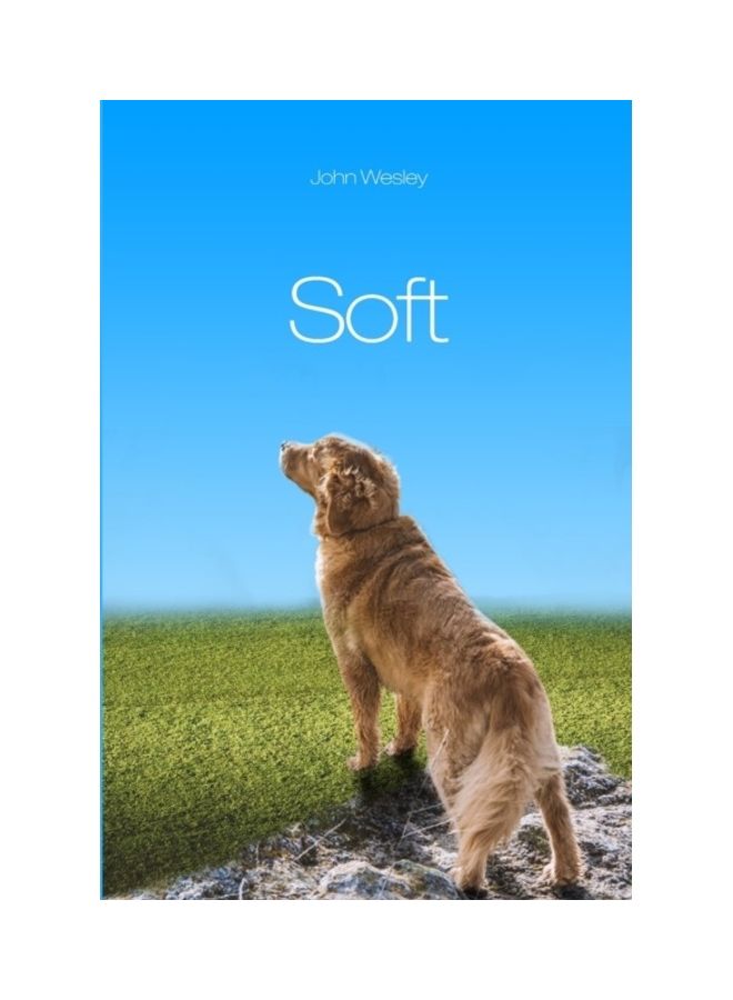 Soft paperback english