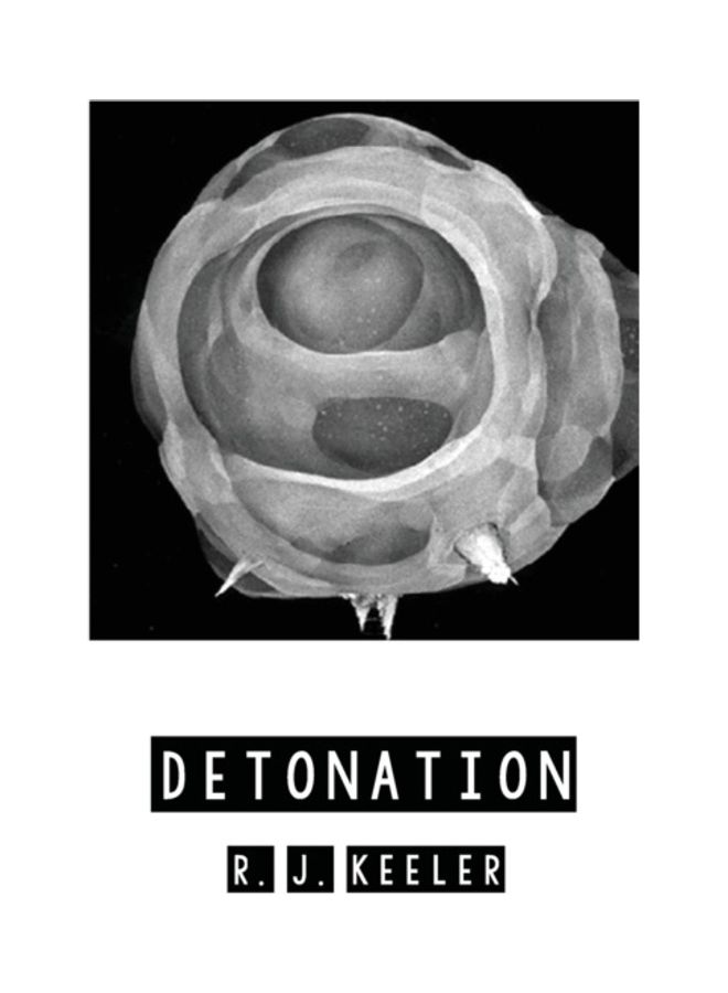 Detonation paperback english
