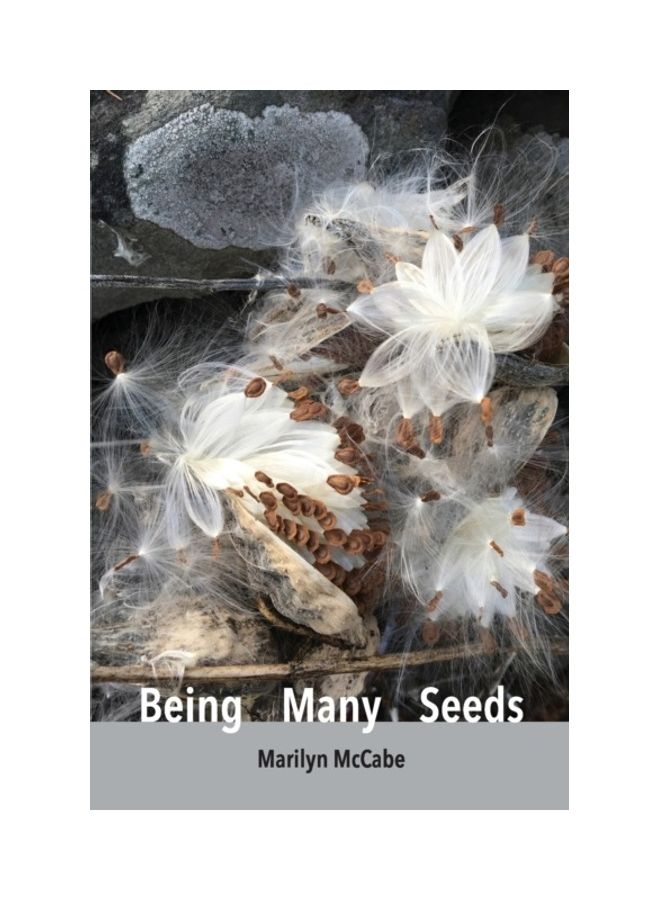 Being Many Seeds Paperback English by Marilyn McCabe
