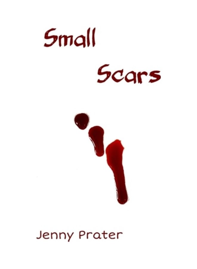 Small Scars paperback english