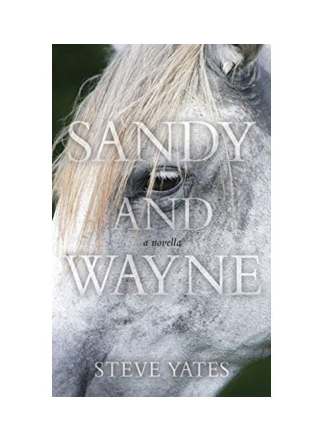 Sandy And Wayne paperback english
