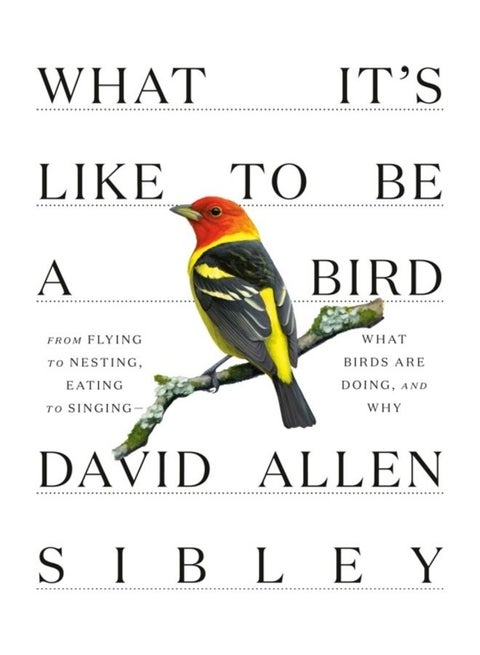 What It's Like To Be A Bird Hardcover English by David Allen Sibley