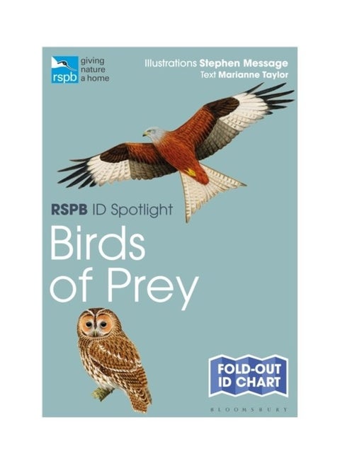 كتاب Birds Of Prey غلاف ورقي الإنجليزية - 44021