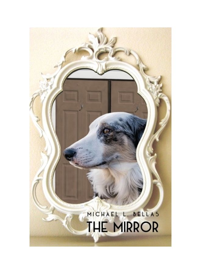 The Mirror paperback english