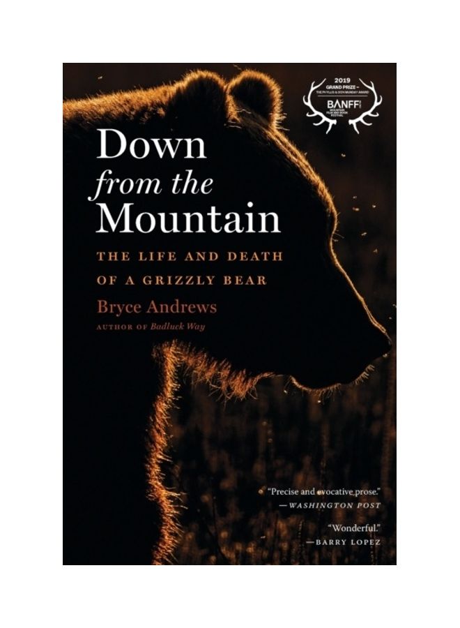 Down From The Mountain The Life And Death Of A Grizzly Bear Paperback English by Bryce Andrews