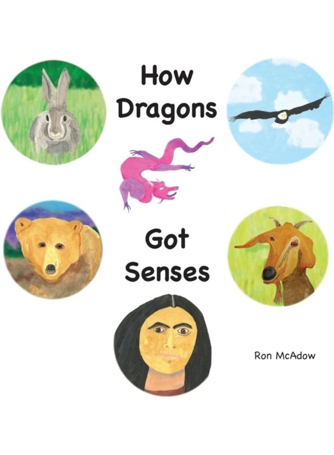 How Dragons Got Senses paperback english