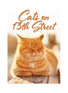 Cats On 13th Street paperback english 