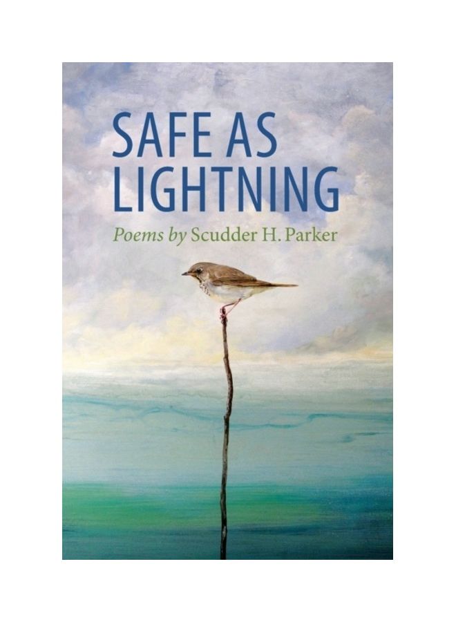 Safe As Lightning paperback english 