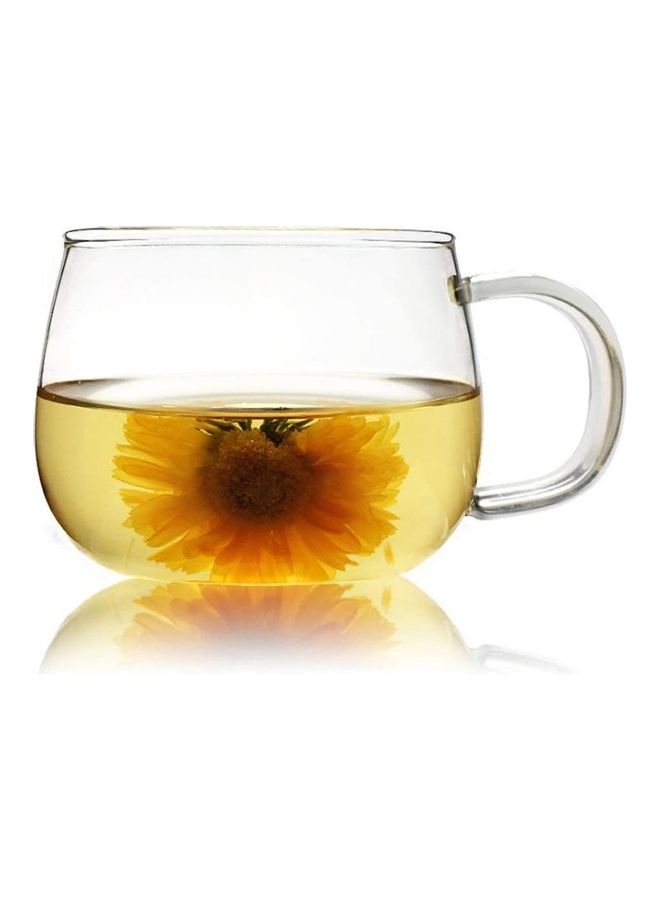 XiuWoo 4-Piece Glass Borosilicate Tea/Espresso Coffee Milk Cup Clear 300ml  - Image 1