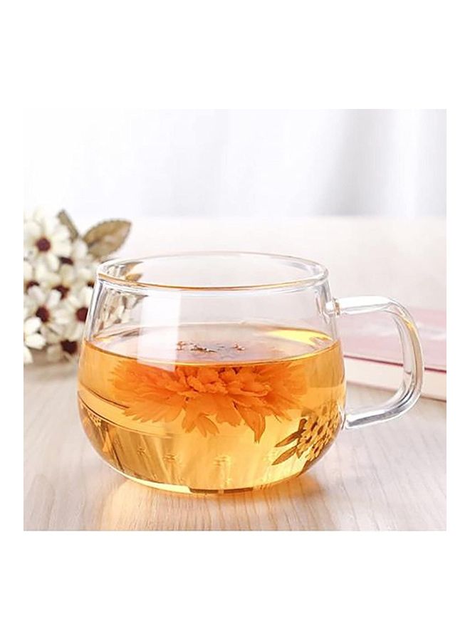XiuWoo 4-Piece Glass Borosilicate Tea/Espresso Coffee Milk Cup Clear 300ml  - Image 3