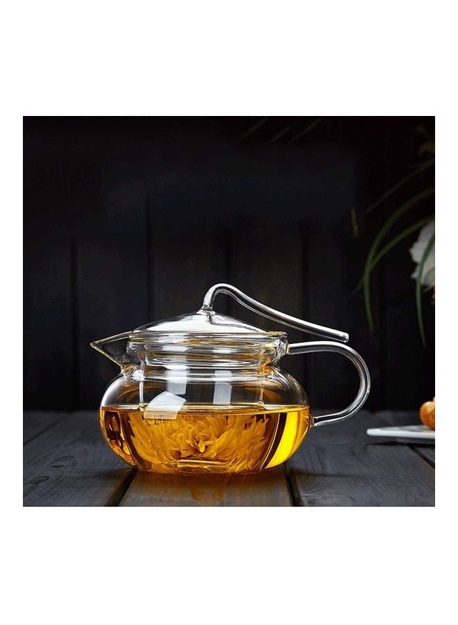 XiuWoo Heat Resistant Glass Teapot Set Clear 450ml - Image 3