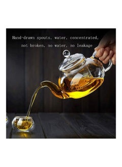 XiuWoo Heat Resistant Glass Teapot Set Clear 600ml  - Image 4