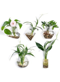 5-Piece Wall Mounted Flower Vase Small Plants Clear one size cm