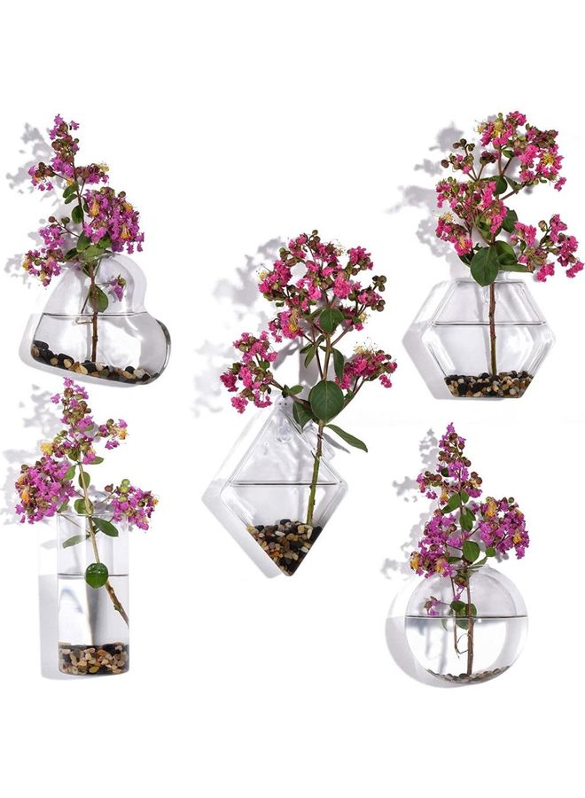 XiuWoo - 5-Piece Wall Mounted Flower Vase Small Plants Clear one size cm - Image 1