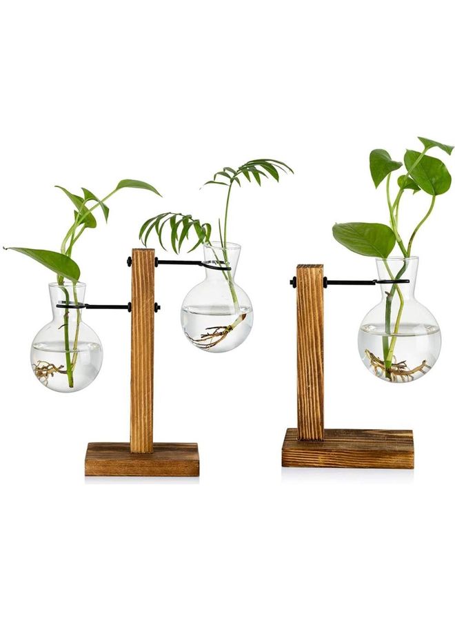 XiuWoo - Creative Glass Plant Terrarium With Wooden Stand Multicolour one size cm - Image 1