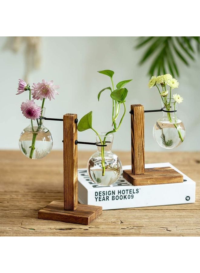 XiuWoo - Creative Glass Plant Terrarium With Wooden Stand Multicolour one size cm - Image 1