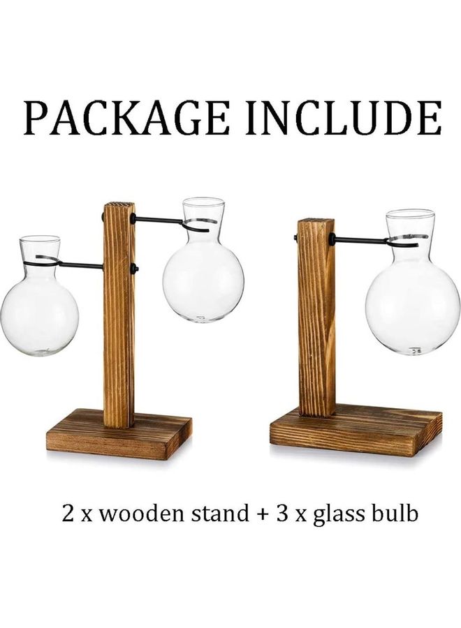 XiuWoo - Creative Glass Plant Terrarium With Wooden Stand Multicolour one size cm - Image 1