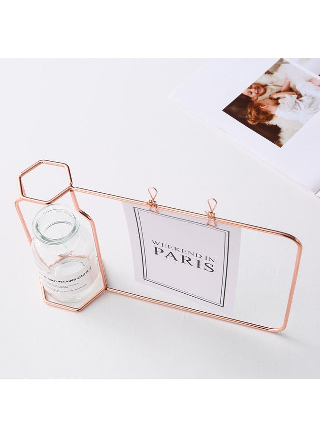 XiuWoo Flower Vase Iron Frame Rose gold 1cm  - Image 3