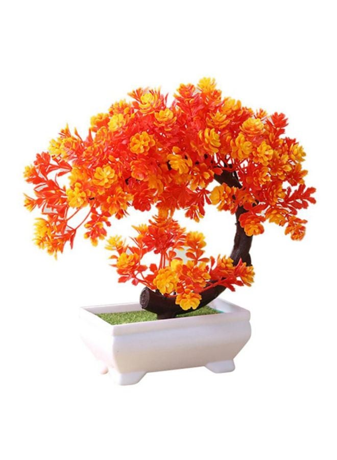 Potted Bonsai Tree Orange
