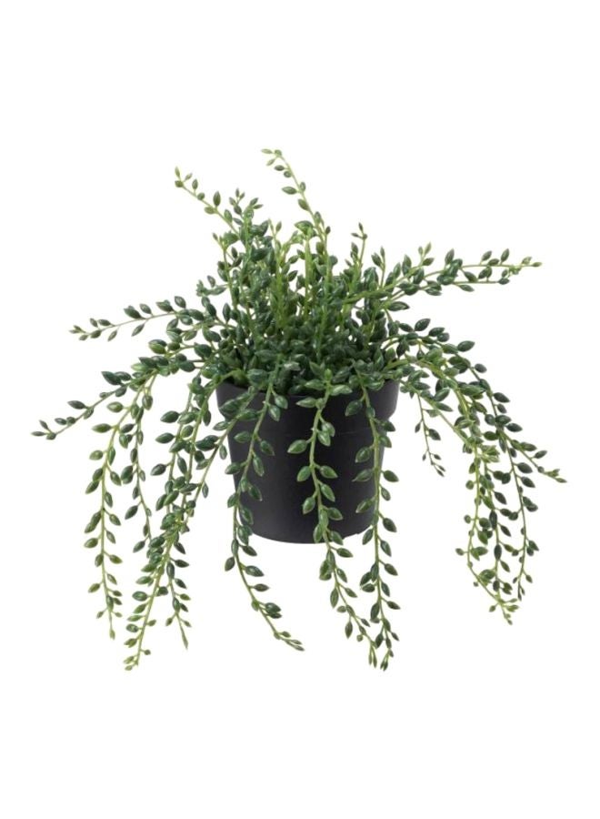 ZENHOME Potted Artificial Flower Green/Black 20cm  - Image 1