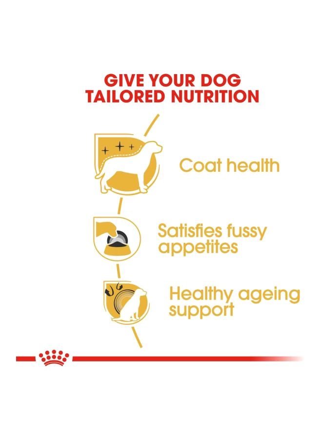 ROYAL CANIN Yorkshire Terrier Dry Food Gold 1.5kg - Image 5