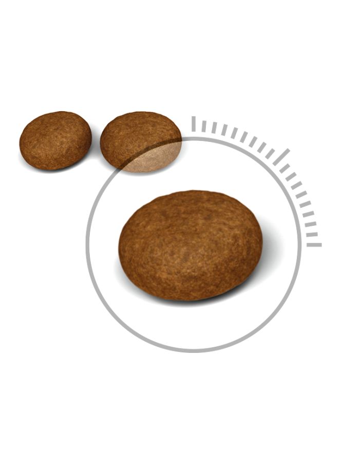 رويال كانين طعام جاف مغذٍ للعناية بشعر القطط وجلدها 4كيلوجرام - Image 2