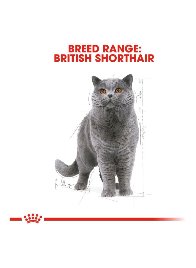 ROYAL CANIN - British Shorthair Wet Food 85grams - Image 1
