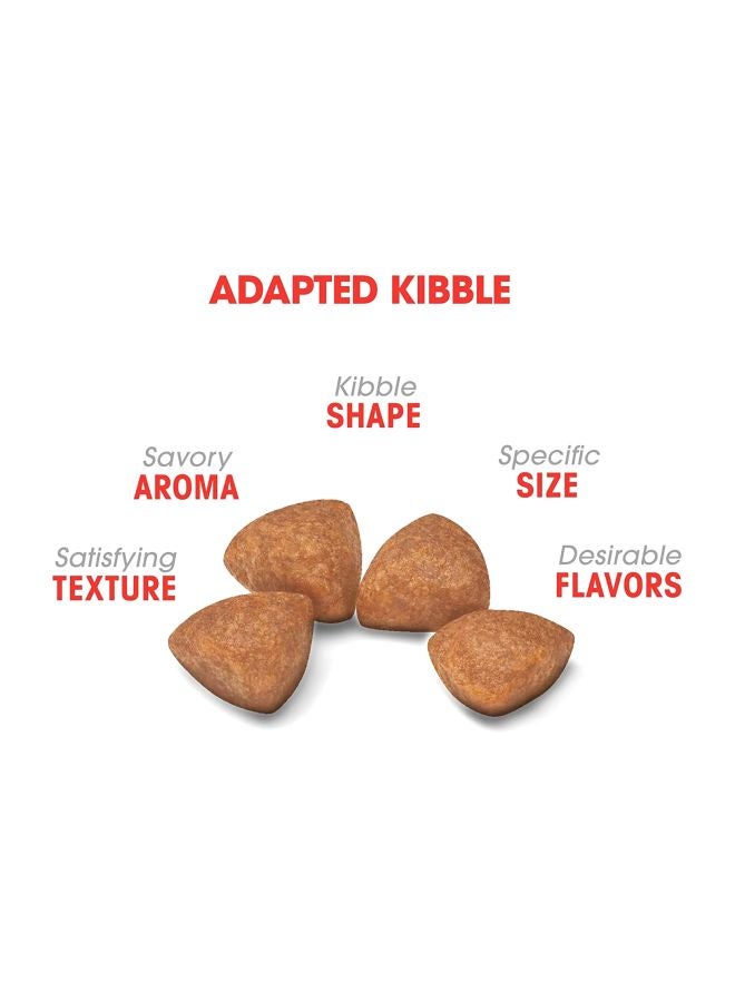 ROYAL CANIN X-Small Puppy Dry Food 1500grams - Image 2