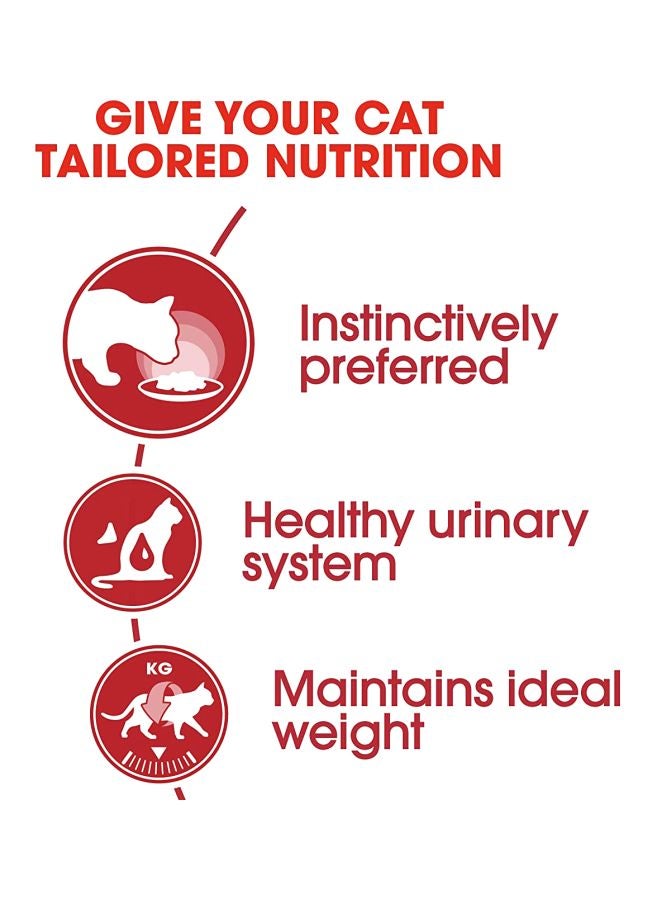 رويال كانين عبوة من 12 قطعة من الطعام الصحي المغذي في مرق اللحم للقطط من فصيلة السنورى 85جرام - Image 2