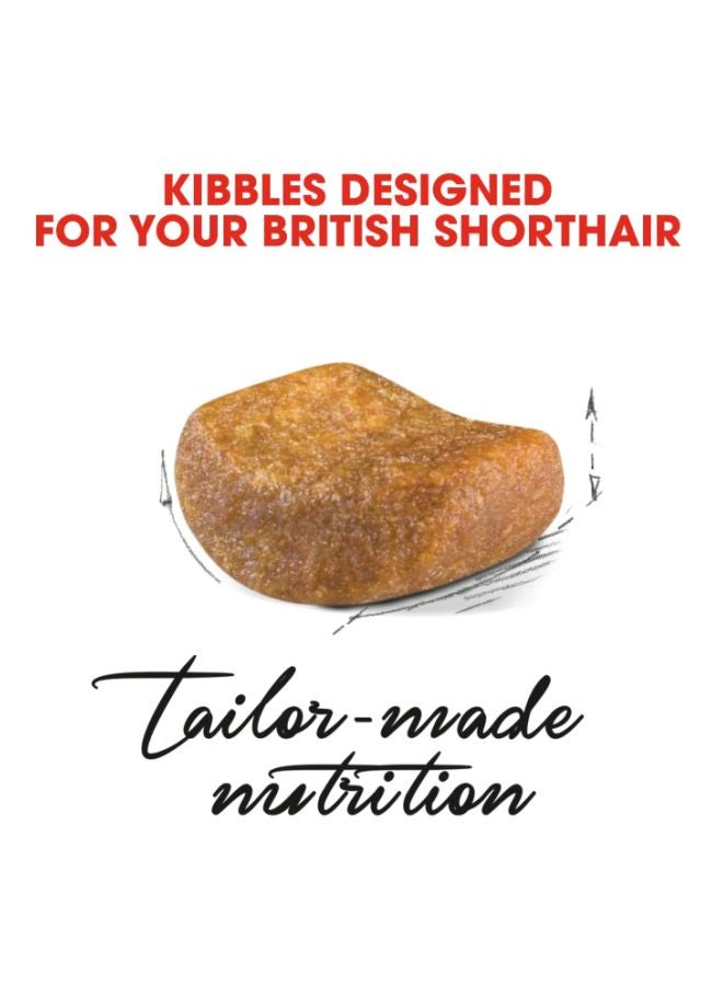 رويال كانين طعام جاف لتغذية القطط الكبيرة مناسب للقط البريطاني قصير الشعر متعدد الألوان 4000جرام - Image 2