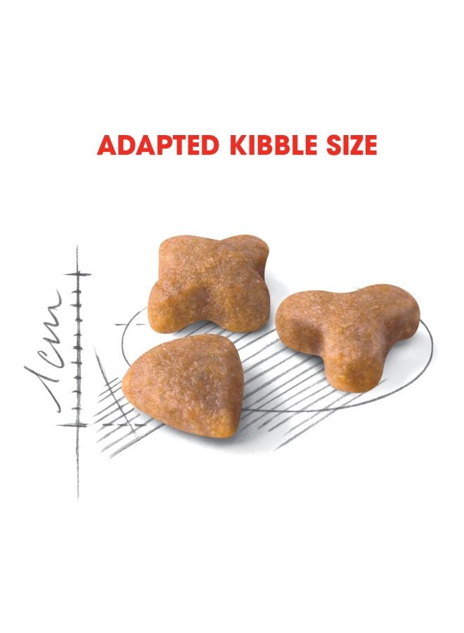 رويال كانين طعام جاف رجولار سينسيبل 33 للتغذية الصحية للقطط العادية الحساسة 2كيلوجرام - Image 4