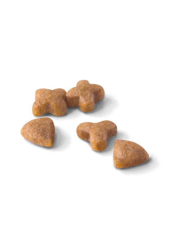 رويال كانين طعام جاف رجولار سينسيبل 33 للتغذية الصحية للقطط العادية الحساسة 2كيلوجرام - Image 5