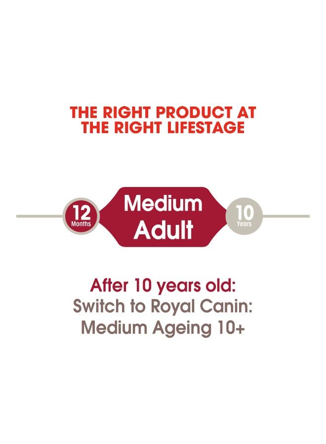 ROYAL CANIN Pack Of 10 Size Health Nutrition Medium Adult Pouch Wet Food 1.4kg  - Image 4