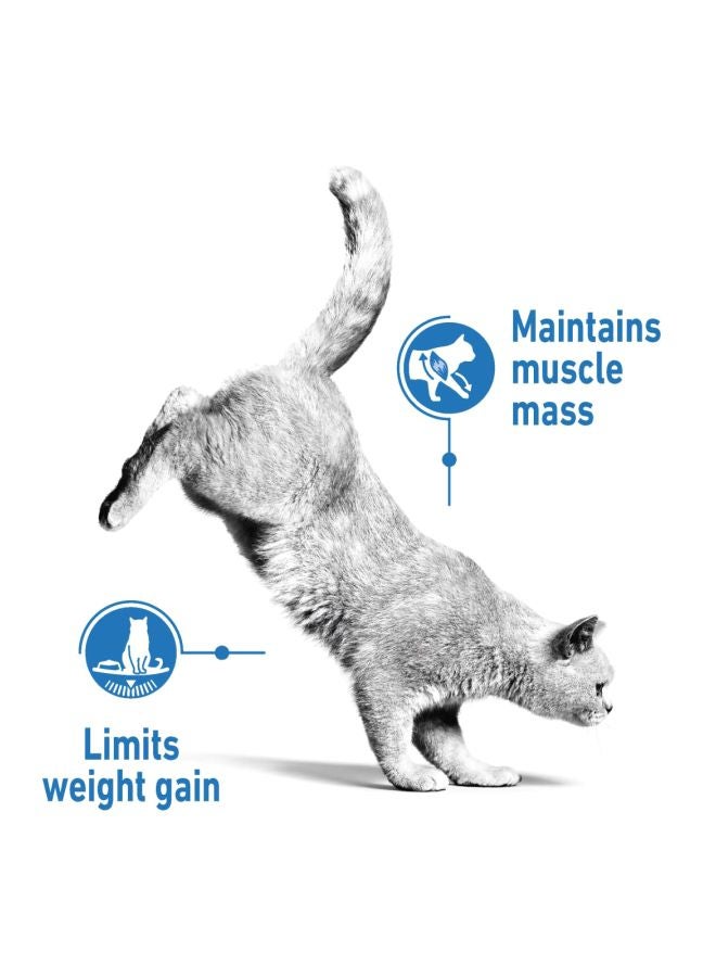 رويال كانين طعام جاف لقطط خفيفة الوزن من مجموعة فيلين كير نيوتريشن 3كيلوجرام - Image 3