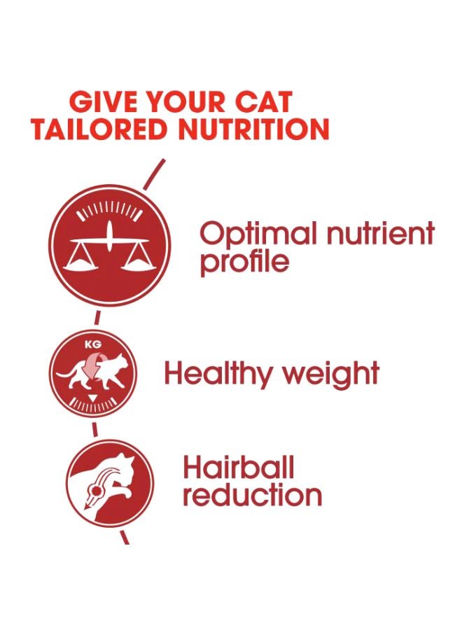 رويال كانين طعام جاف فيت 32 للقطط الكبيرة 4كيلوجرام - Image 3