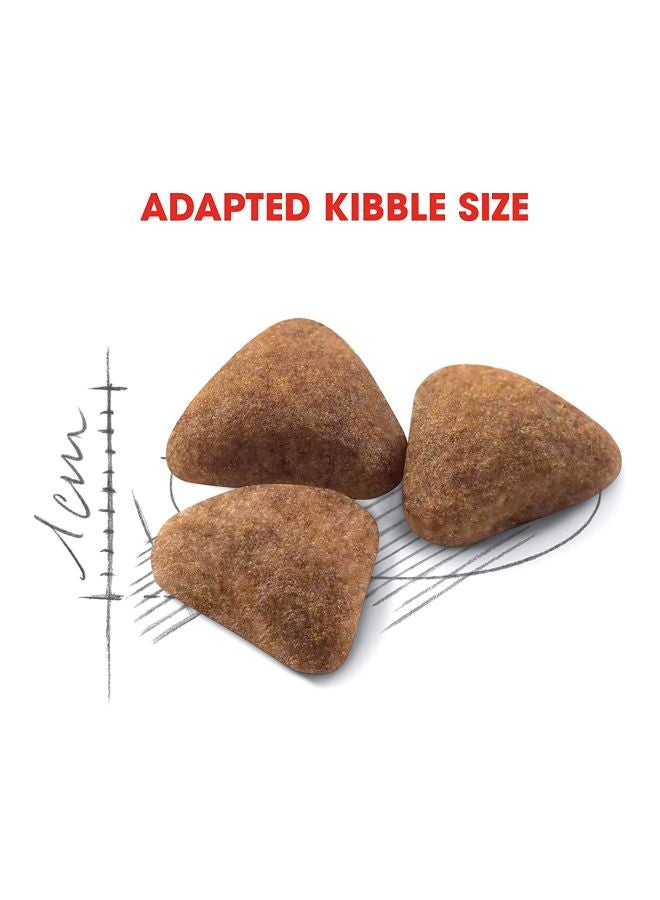 ROYAL CANIN Indoor Feline Health Nutrition Dry Food 2kg - Image 2